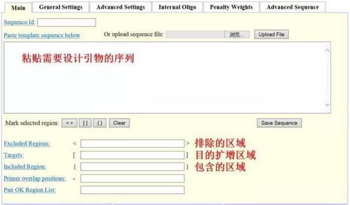 設(shè)計(jì)引物怕踩坑？這3款在線軟件輕松掃雷——淄博軟件設(shè)計(jì)指南